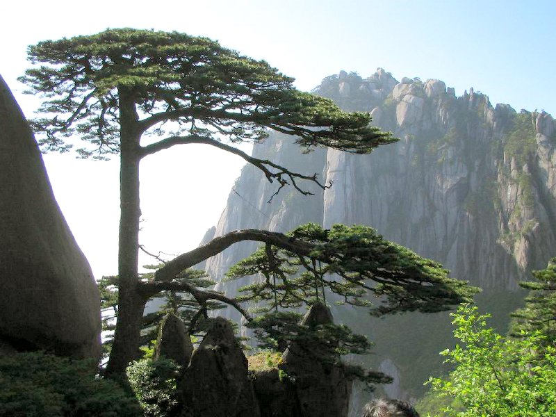 Huang Shan encabeza la lista de los paisajes naturales más hermosos de China 